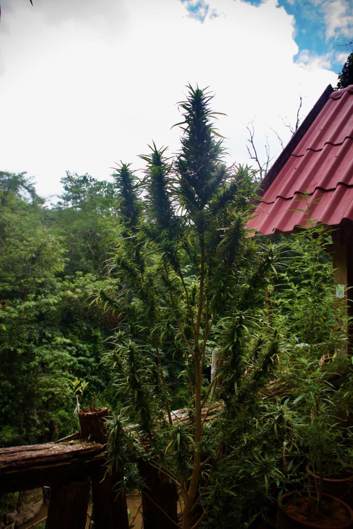 Aerie Lodge Pang Mapha Exterior foto