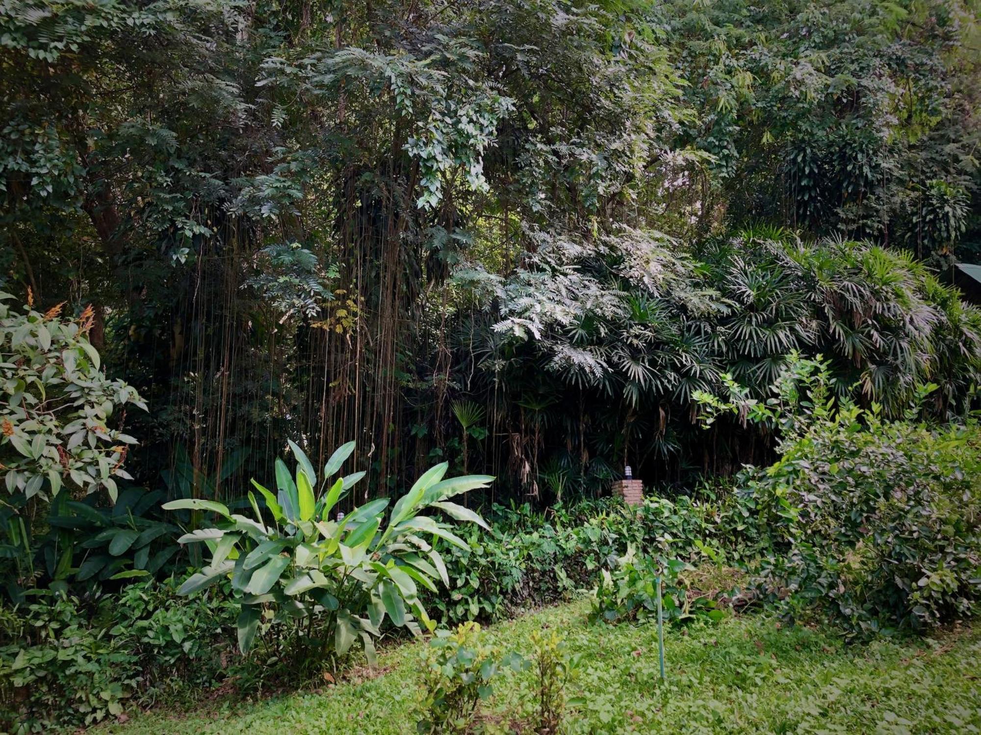 Aerie Lodge Pang Mapha Exterior foto